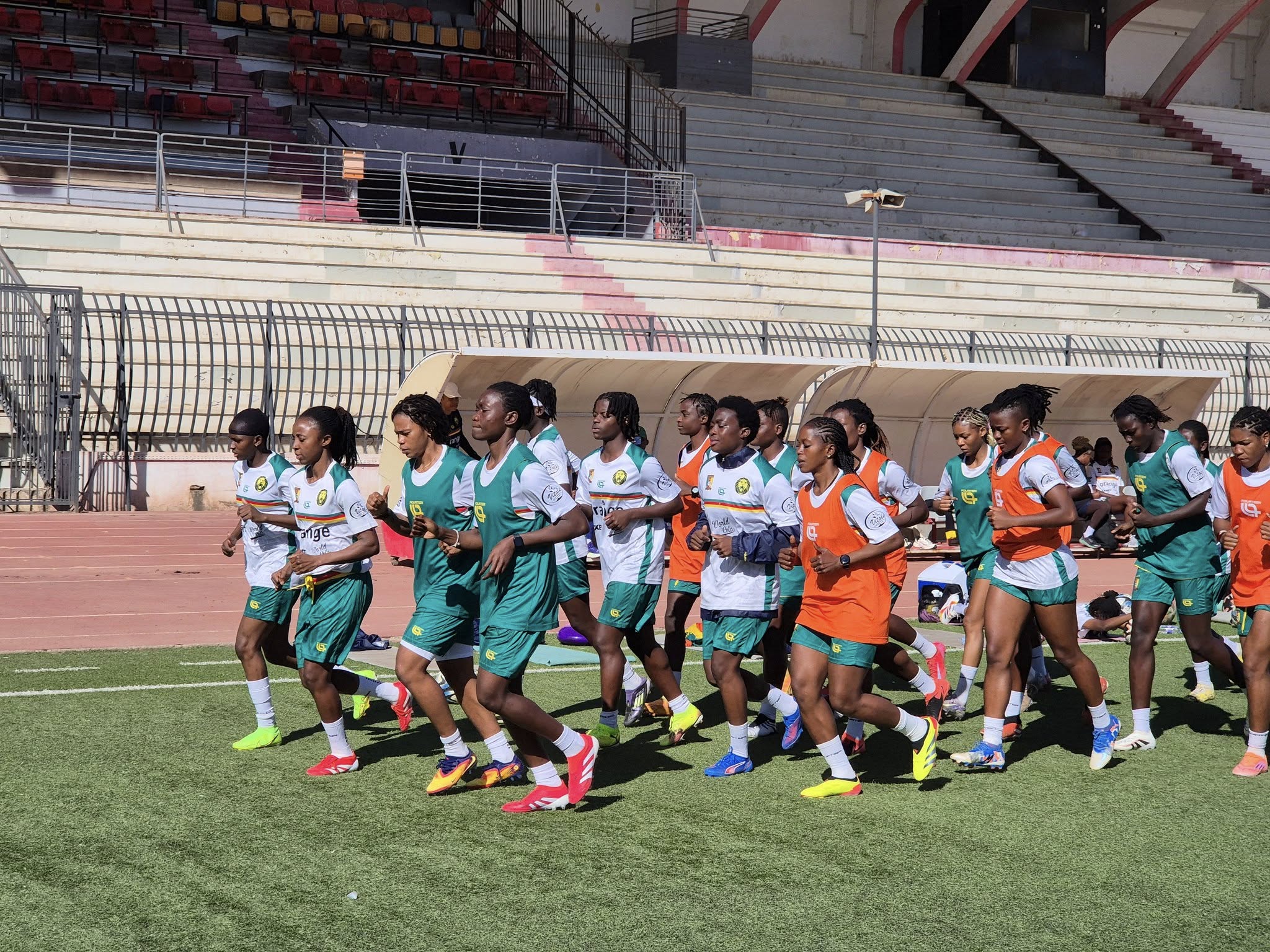Lionnes Indomptables