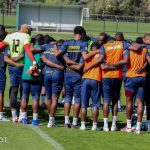 Période FIFA : pas de matchs amicaux pour les Lions Indomptables