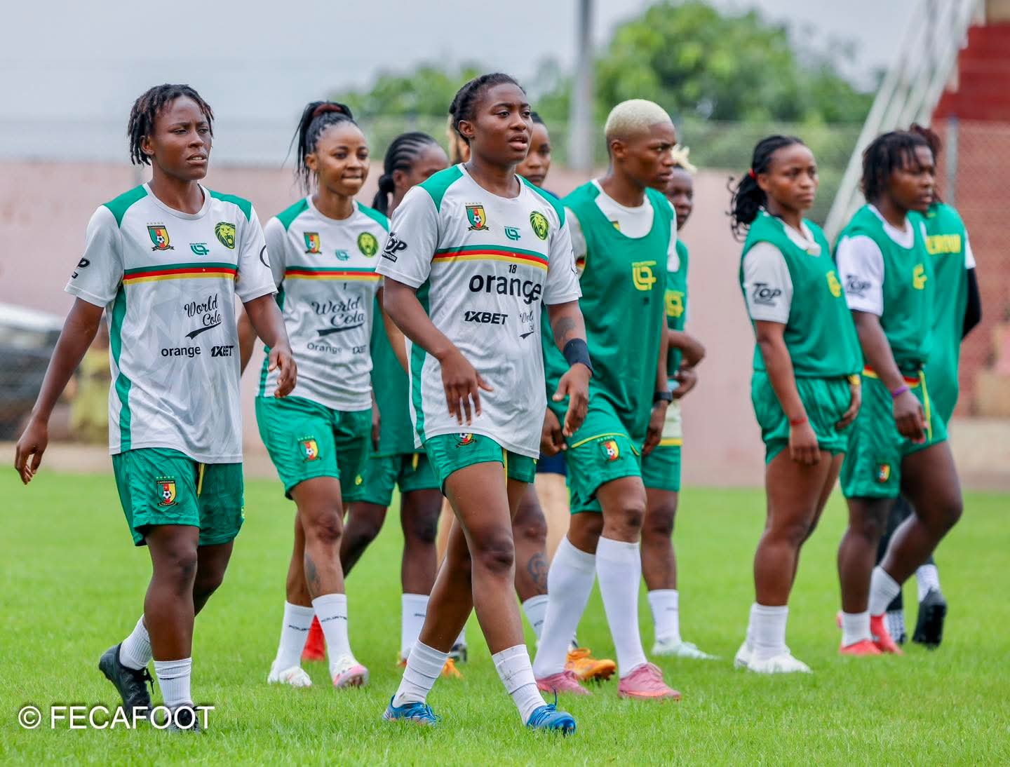 Lionnes Indomptables : que se passe-t-il réellement dans la tanière ?