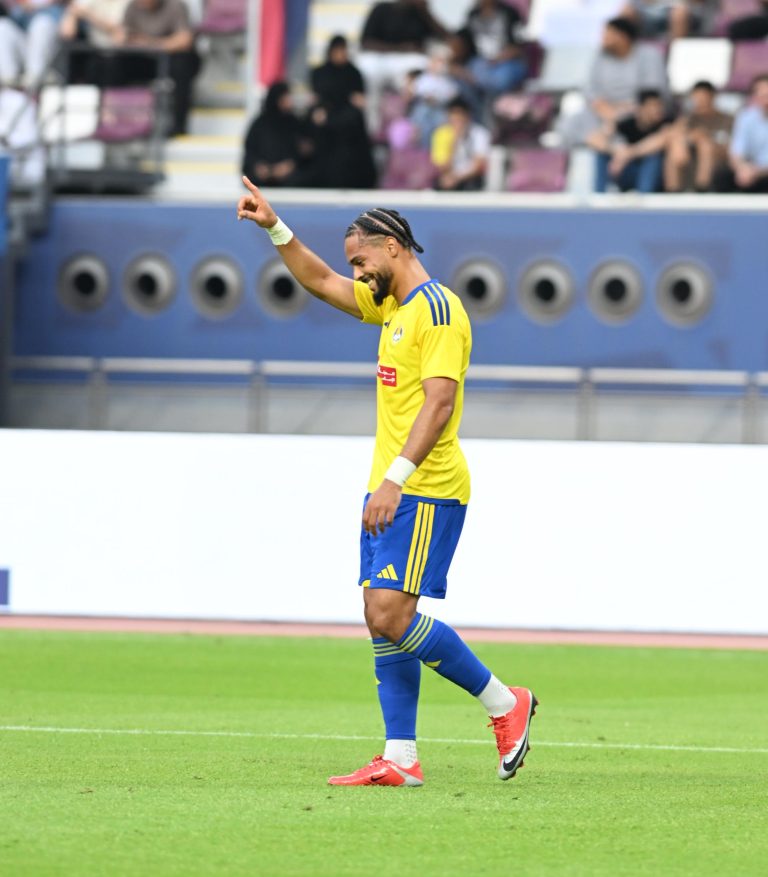 Lions en club : le XI du week-end